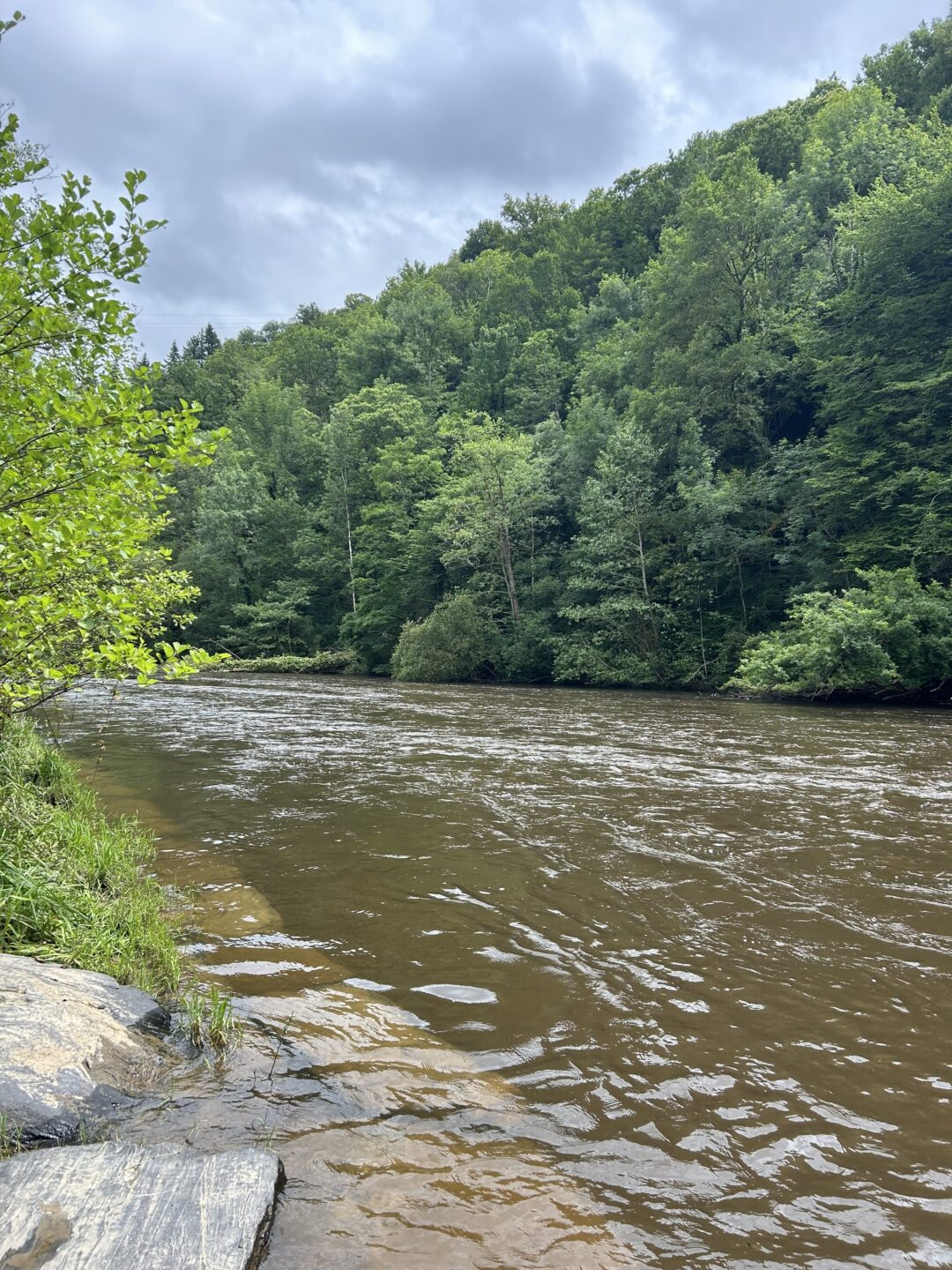 GRP Des Gorges de la Vézère Vigeois Nouvelle-Aquitaine