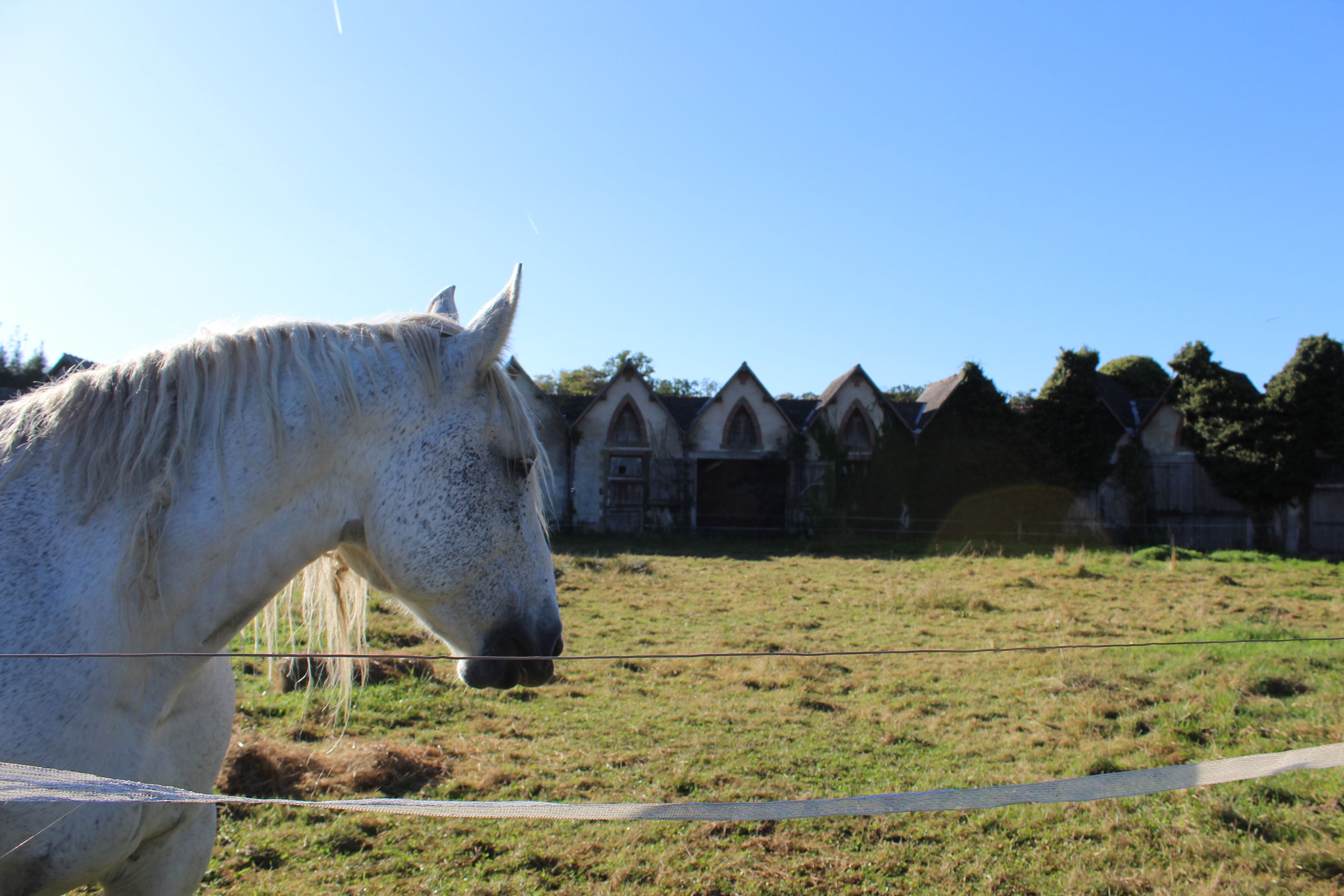 Sur les pas d'Innocent VI Beyssac Nouvelle-Aquitaine