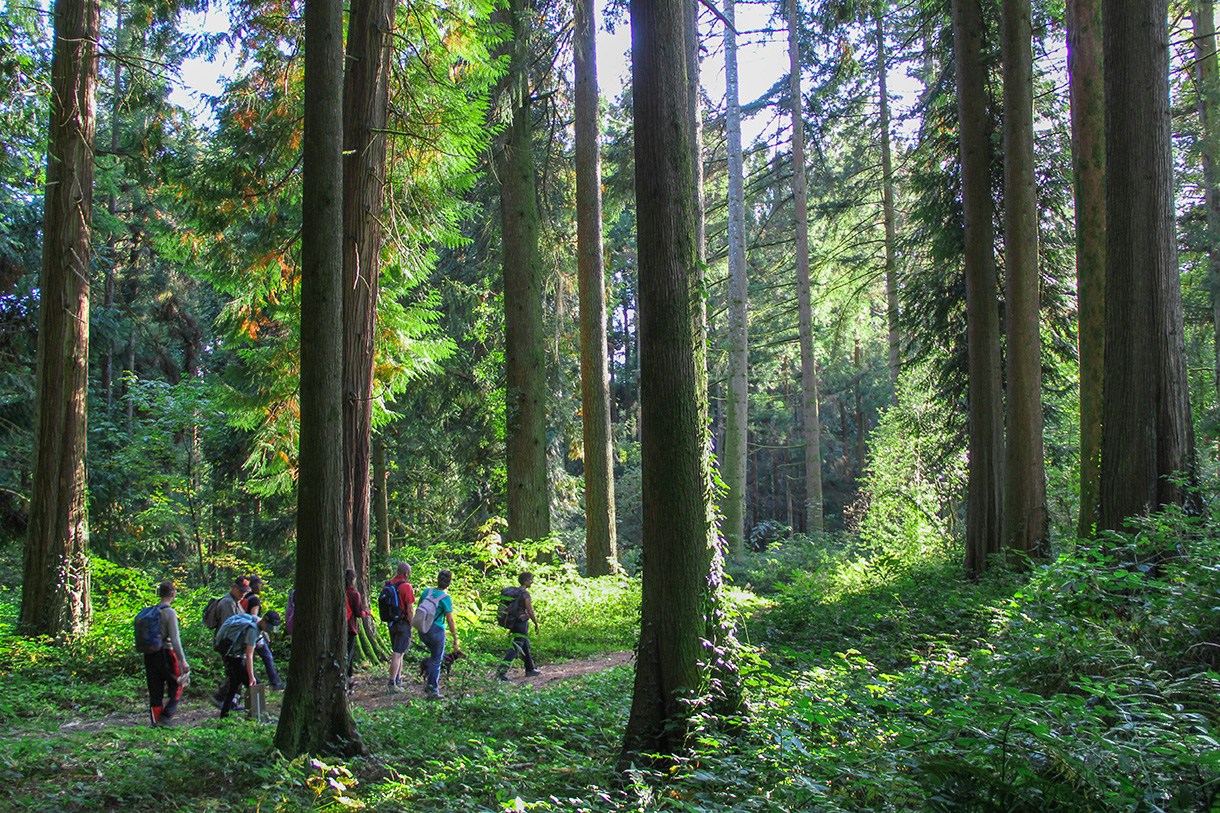 Chemin des villages La Jonchère-Saint-Maurice Nouvelle-Aquitaine Chemin des villages La Jonchère-Saint-Maurice Nouvelle-Aquitaine