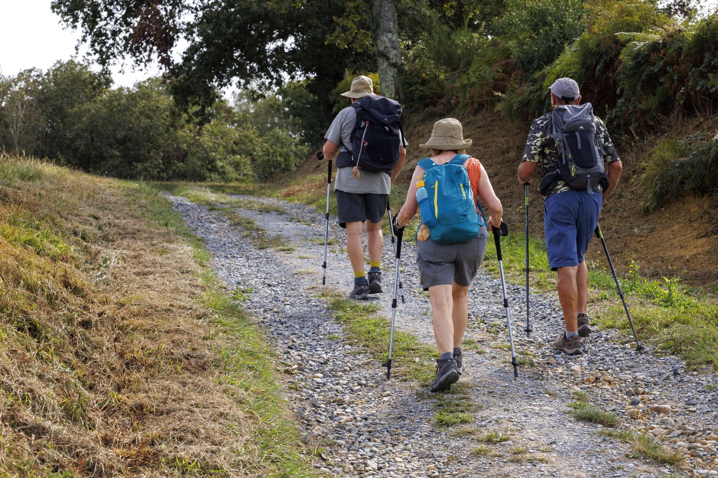 Arzacq-Arraziguet tour du lac Arzacq-Arraziguet Nouvelle-Aquitaine Arzacq-Arraziguet tour du lac Arzacq-Arraziguet Nouvelle-Aquitaine
