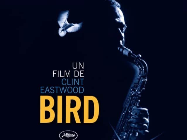 AUTOUR DU FESTIVAL FILM BIRD