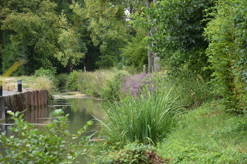 Circuit du Corjudin Autry-le-Châtel Centre-Val de Loire Circuit du Corjudin Autry-le-Châtel Centre-Val de Loire