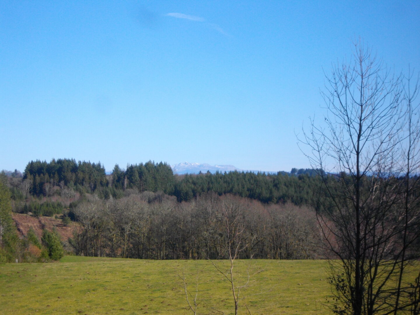 De feuilles en aiguilles (variante de 11 km) Ambrugeat Nouvelle-Aquitaine