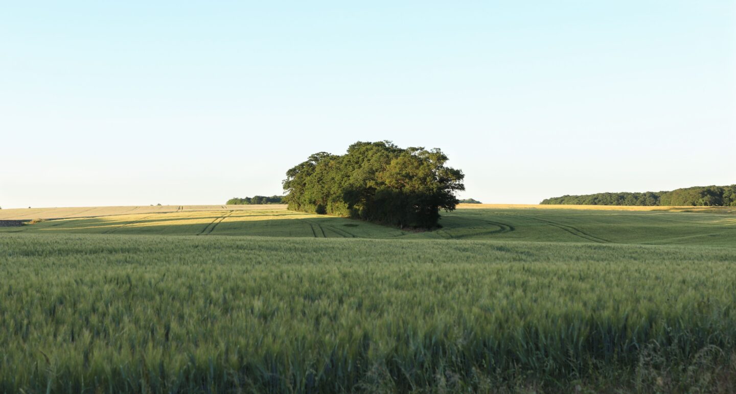 Retour sur la terre n°25 Cloyes-les-Trois-Rivières Centre-Val de Loire