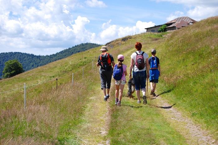Balade famille A la découverte des Neufs-Bois et de ses étangs Saint-Maurice-sur-Moselle Grand Est