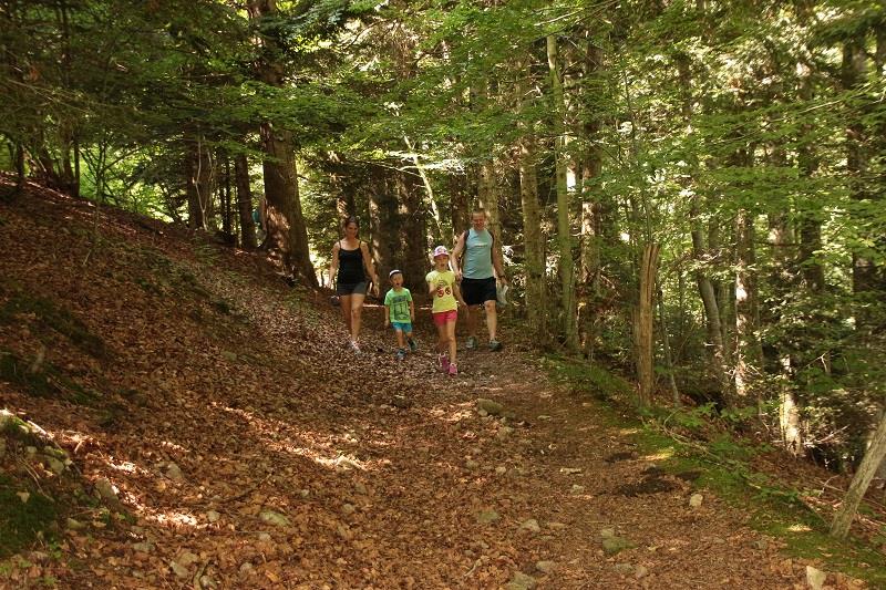 Balade famille Le Sentier des chèvres Bussang Grand Est