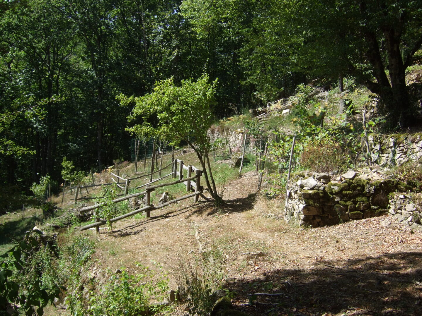Le jardin de Bardot Marcillac-la-Croisille Nouvelle-Aquitaine