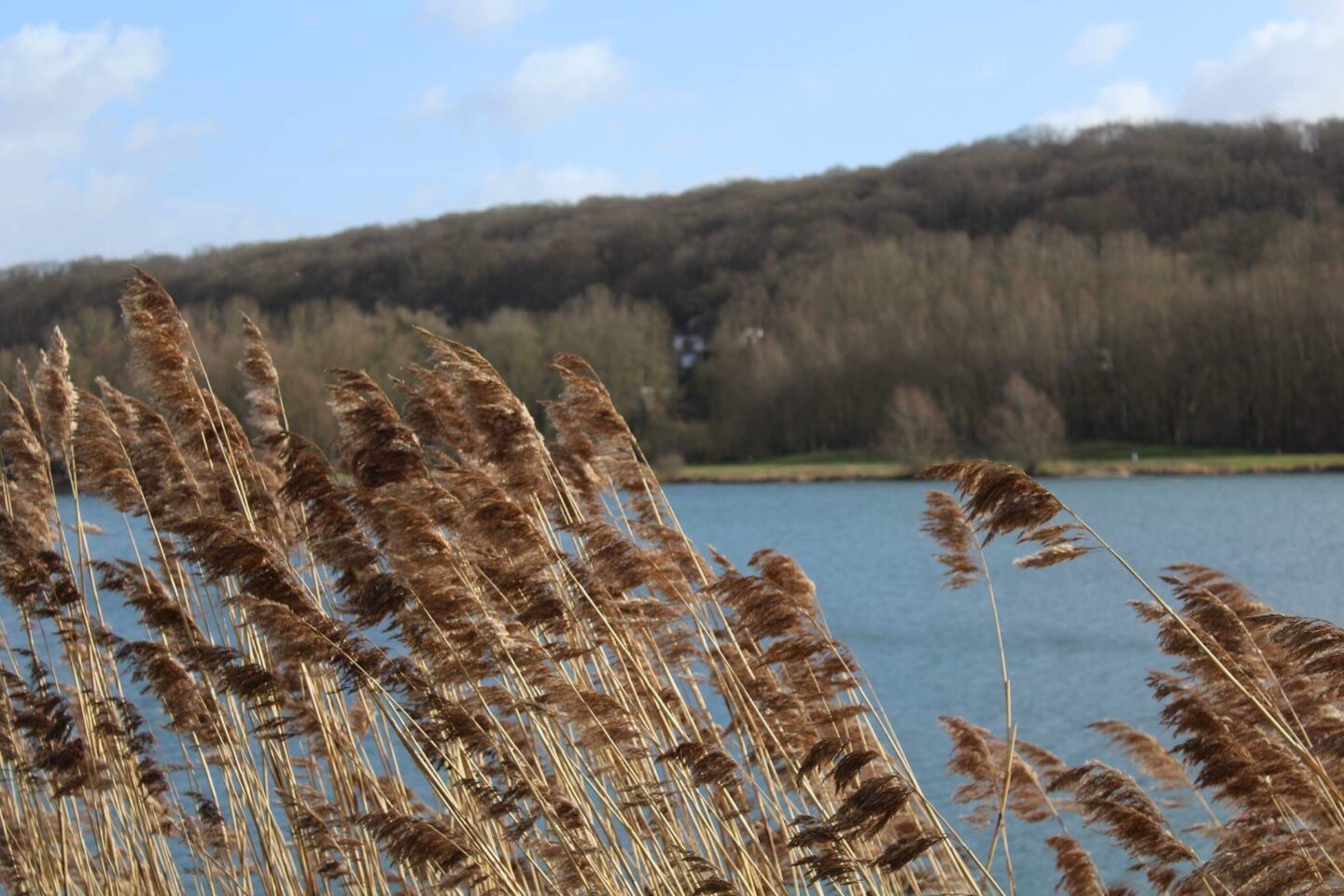 Le Tour du plan d'eau du Canada Beauvais Hauts-de-France