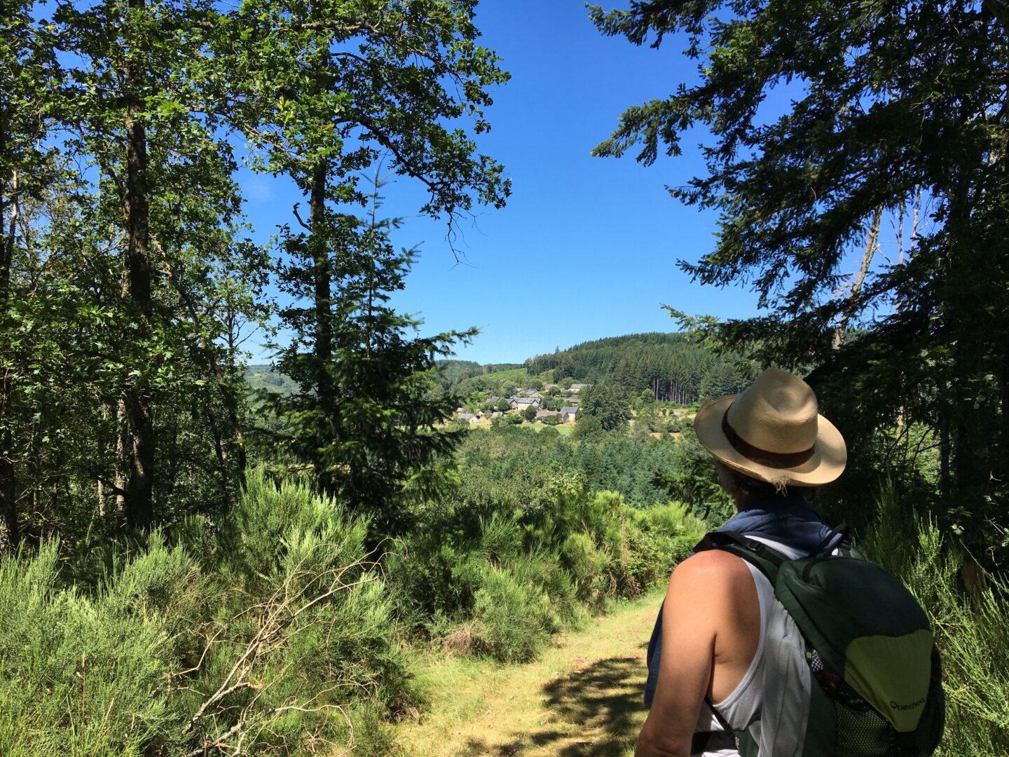 De feuilles en aiguilles Ambrugeat Nouvelle-Aquitaine