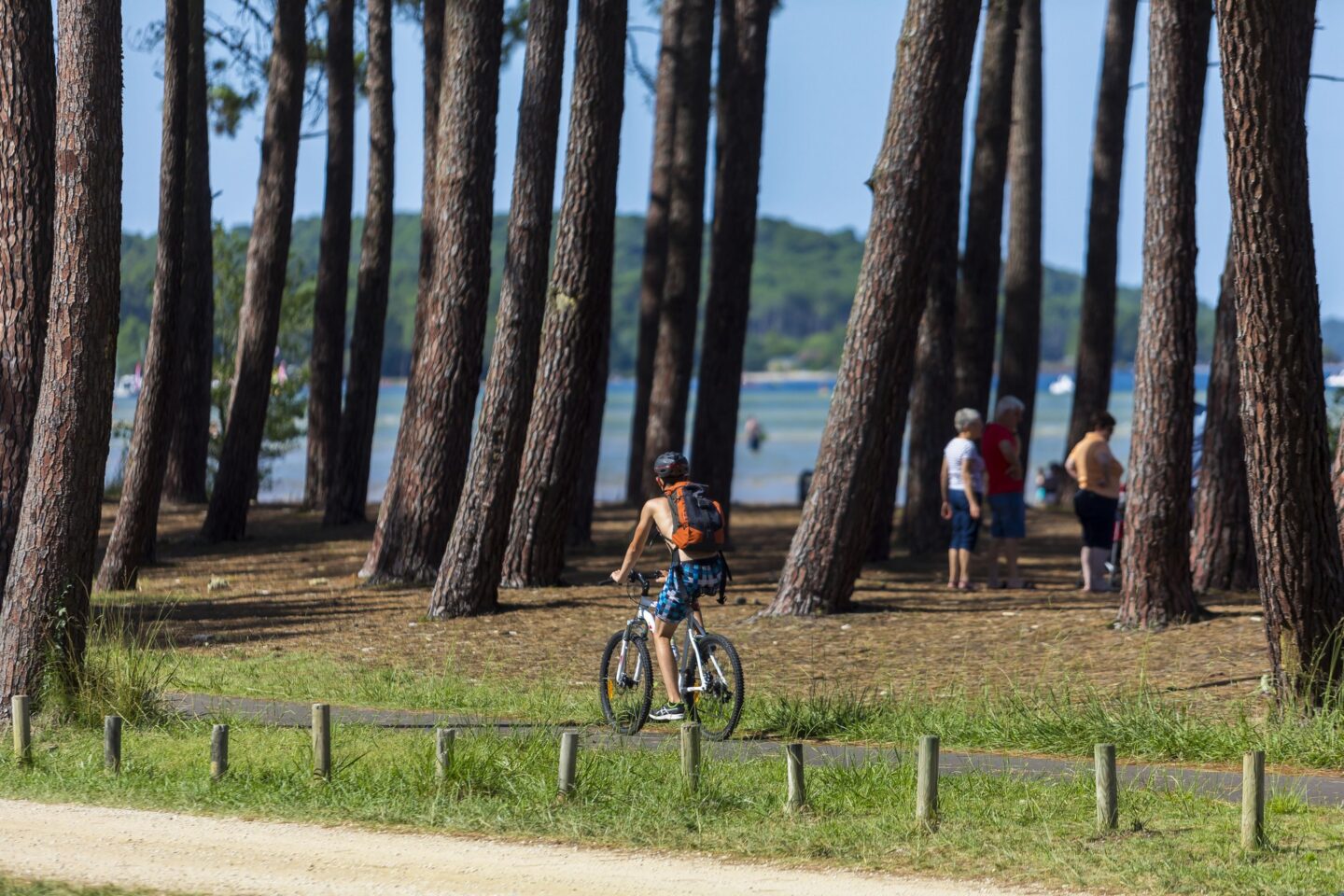 De Maguide à Navarrosse Biscarrosse Nouvelle-Aquitaine