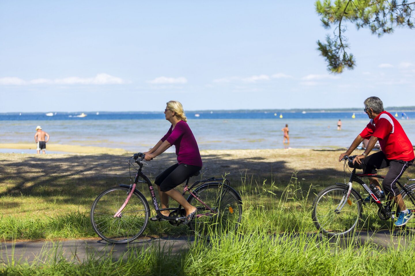 De Navarrosse à Biscarrosse Ville Biscarrosse Nouvelle-Aquitaine