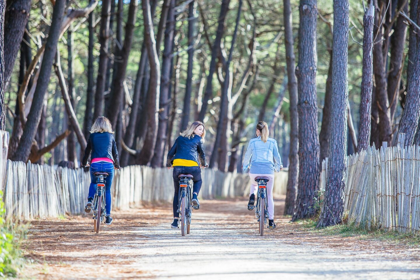 De Biscarrosse Plage à la Dune du Pilat Biscarrosse Nouvelle-Aquitaine De Biscarrosse Plage à la Dune du Pilat Biscarrosse Nouvelle-Aquitaine