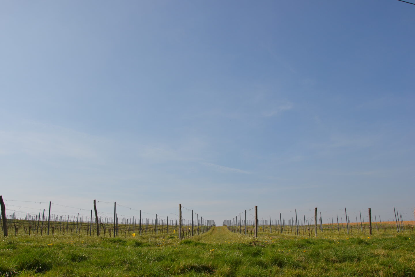 Boucle locale des Châteaux Roquebrune Nouvelle-Aquitaine