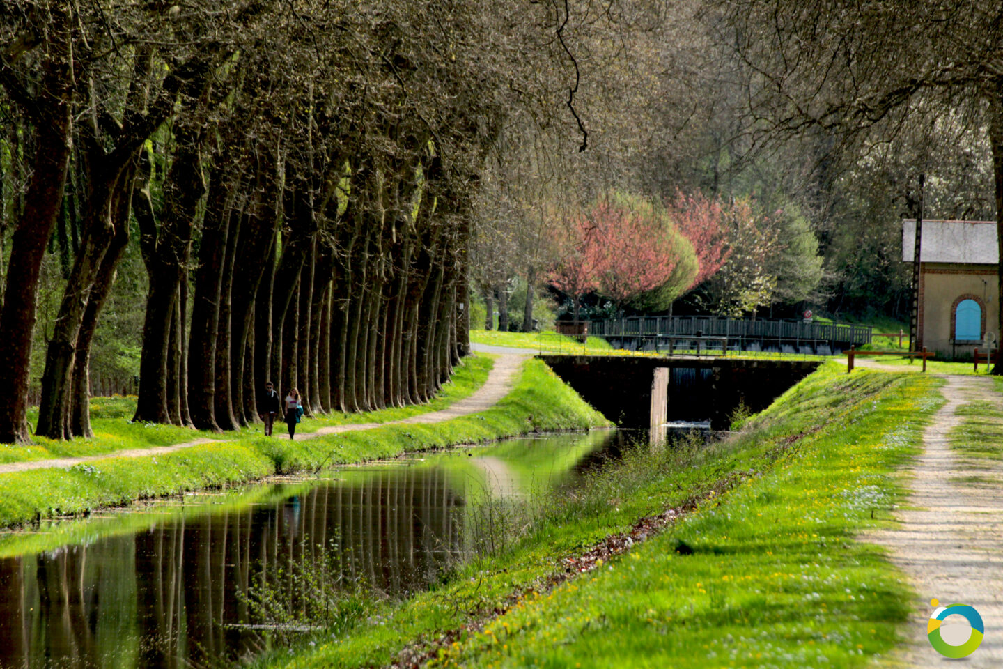 Sente Bleue balade le long du canal Sans Queue Ni Tête Aubigny-sur-Nère Centre-Val de Loire