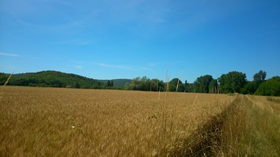 Boucle de Maurival à Condat Condat-sur-Vézère Nouvelle-Aquitaine
