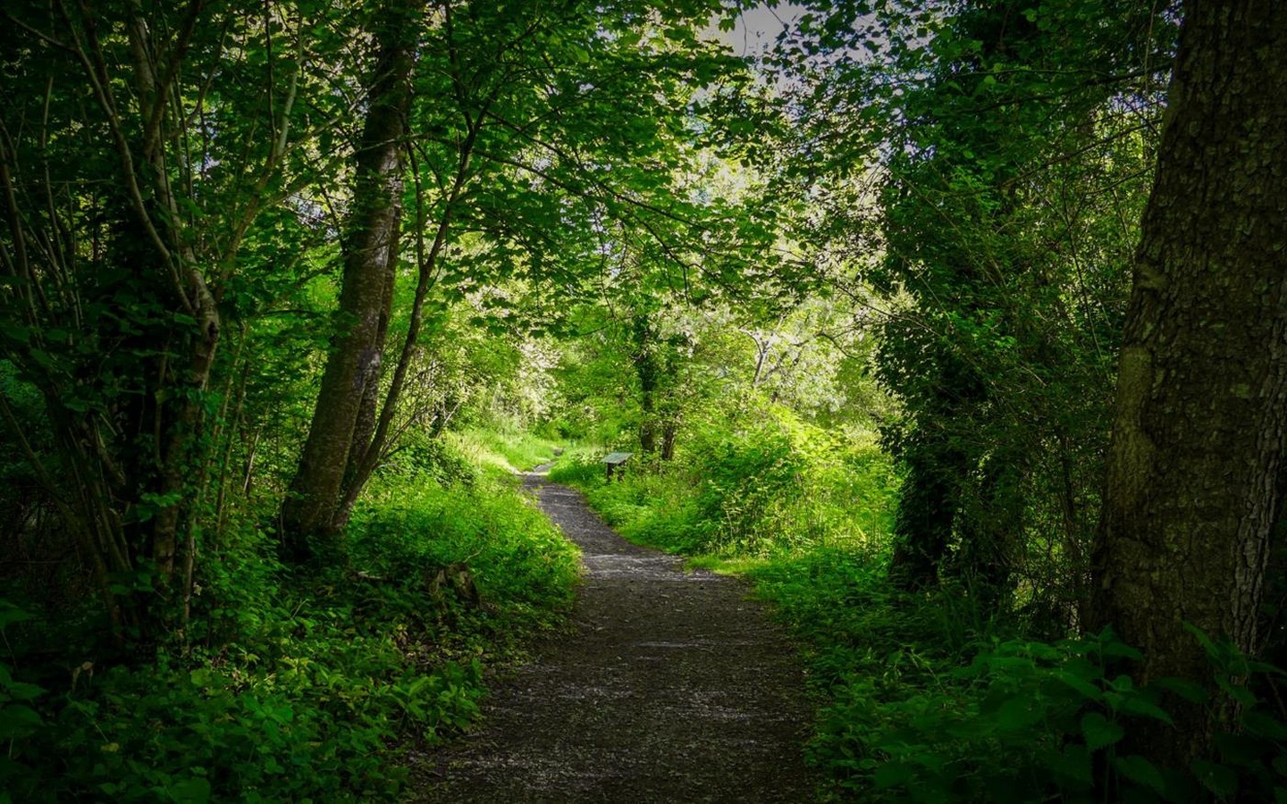 Balade à Roulettes n°3 Baudreix entre gave et lac Pau Nouvelle-Aquitaine