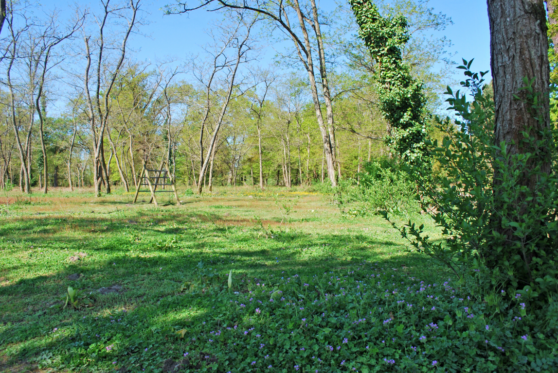 Super balade Aux portes du Médoc Blanquefort Nouvelle-Aquitaine
