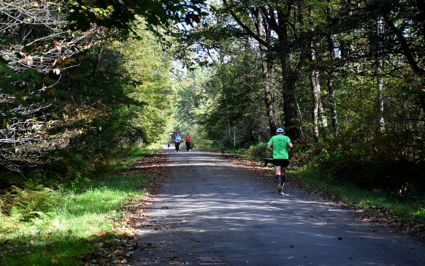 Balade à Roulettes n°38 La forêt de Bastard à Pau Pau Nouvelle-Aquitaine