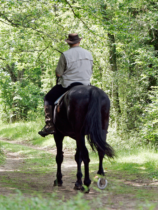 Bois et châteaux Authon-du-Perche Centre-Val de Loire Bois et châteaux Authon-du-Perche Centre-Val de Loire