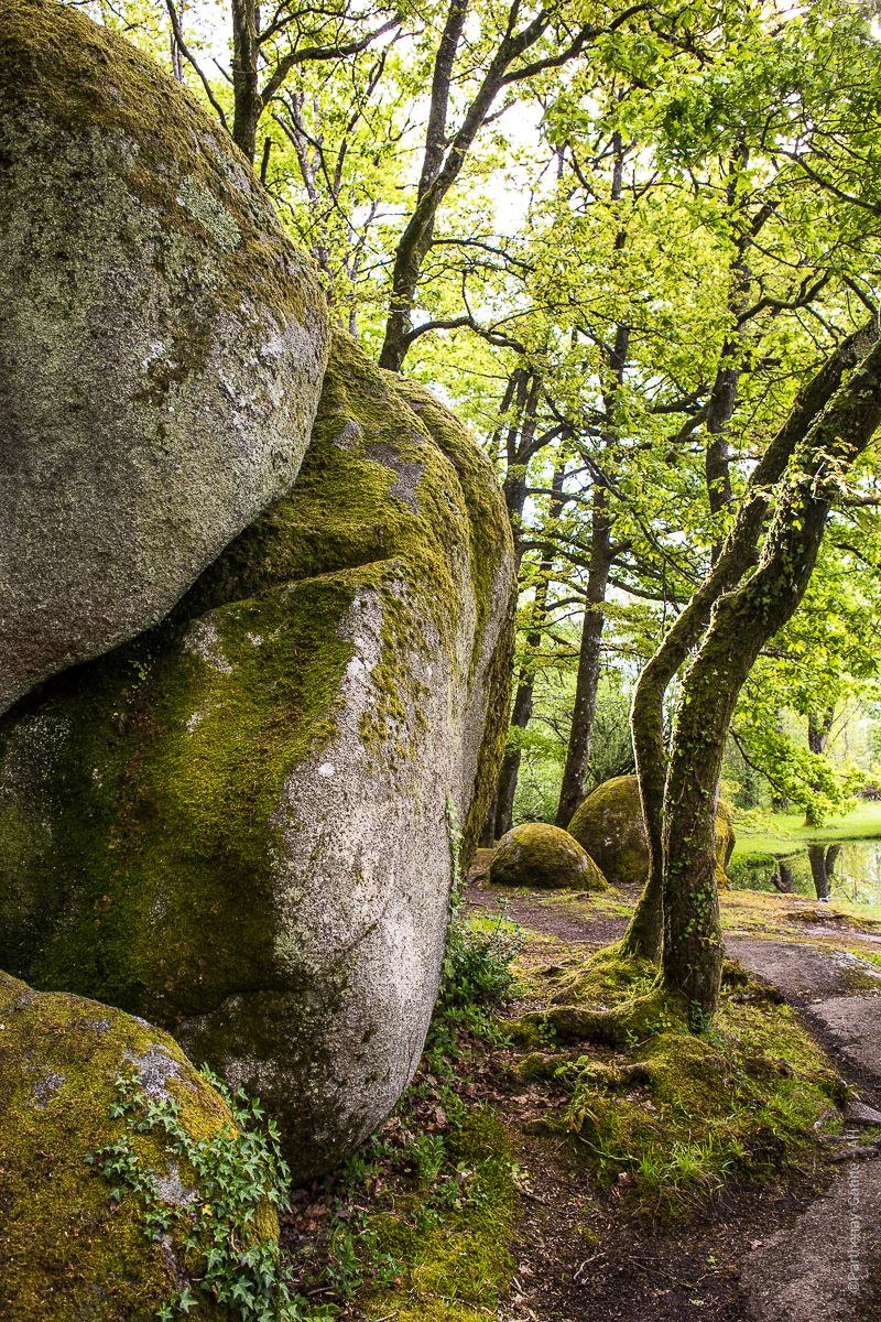 De la vallée de la Vonne à Bois Pouvreau Ménigoute Nouvelle-Aquitaine