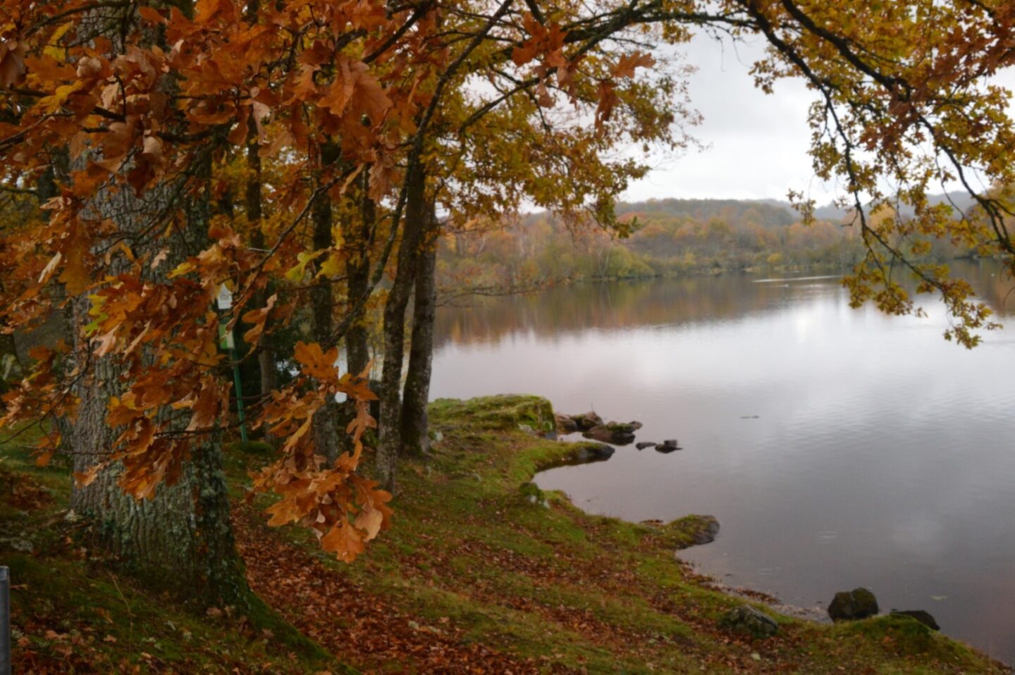 Boucle Locale N°53 Masgot Boucle Locale N°53 Masgot