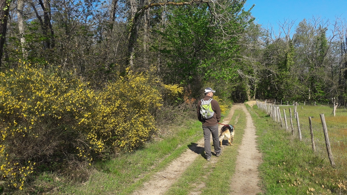 Boucle de Fratteau Neuvic Nouvelle-Aquitaine Boucle de Fratteau Neuvic Nouvelle-Aquitaine