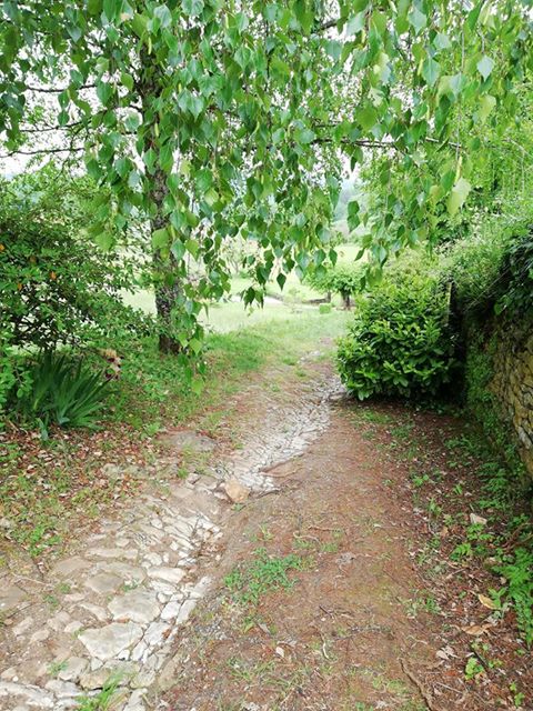 Boucle de la Forêt Salignac Salignac-Eyvigues Nouvelle-Aquitaine