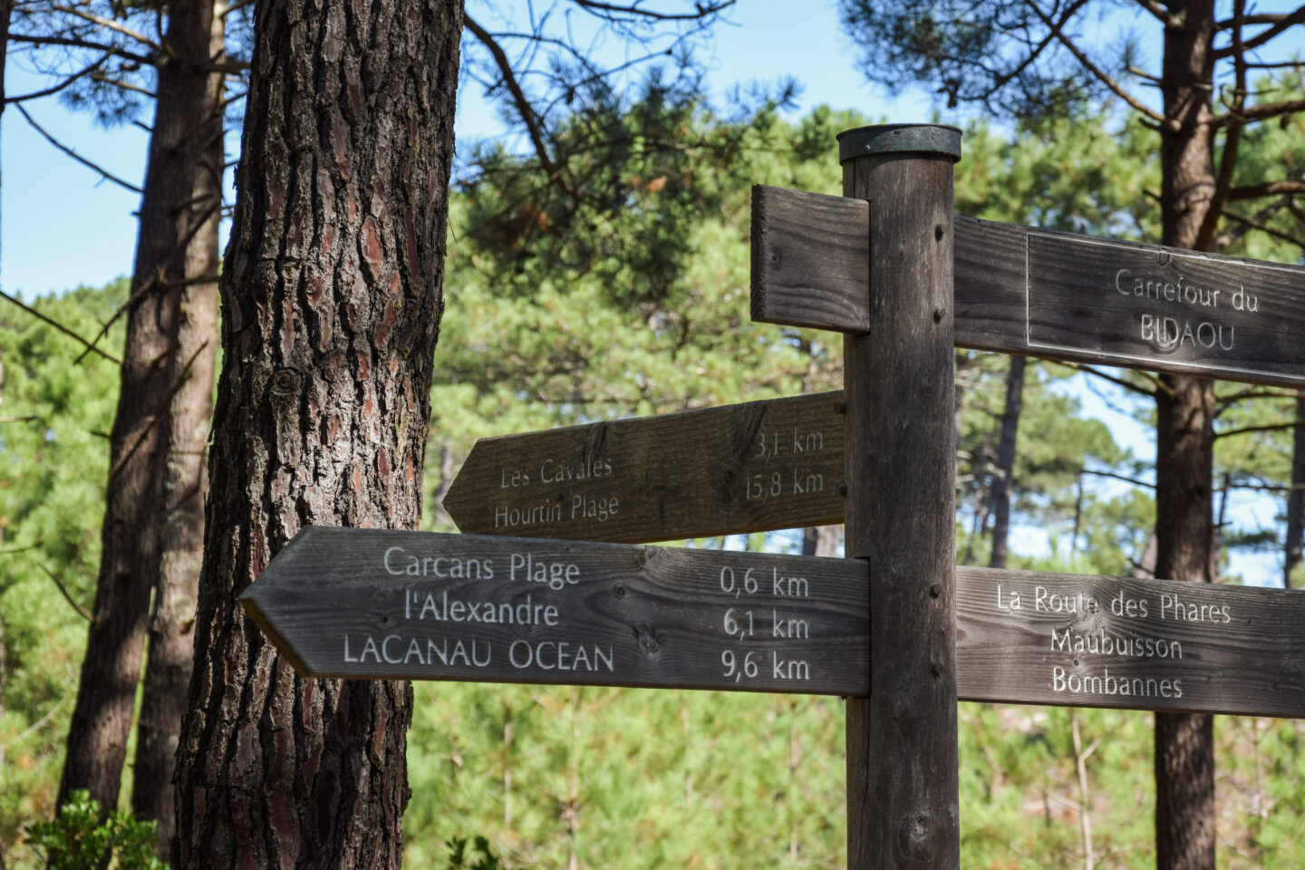 Boucle des Cavalles Carcans Nouvelle-Aquitaine