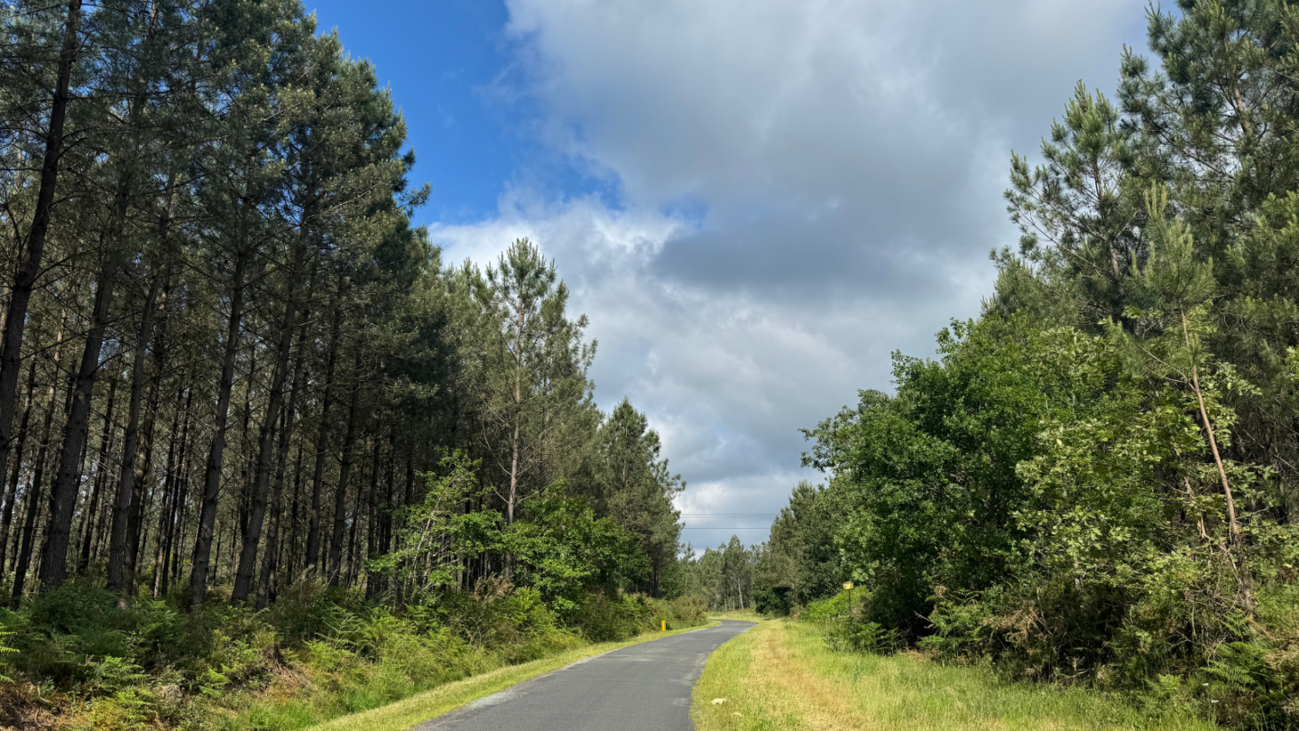 Boucle du Brousteyrot La Brède Nouvelle-Aquitaine Boucle du Brousteyrot La Brède Nouvelle-Aquitaine