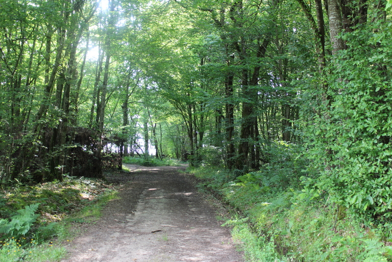 Boucle locale du coucou à Landerrouat Landerrouat Nouvelle-Aquitaine