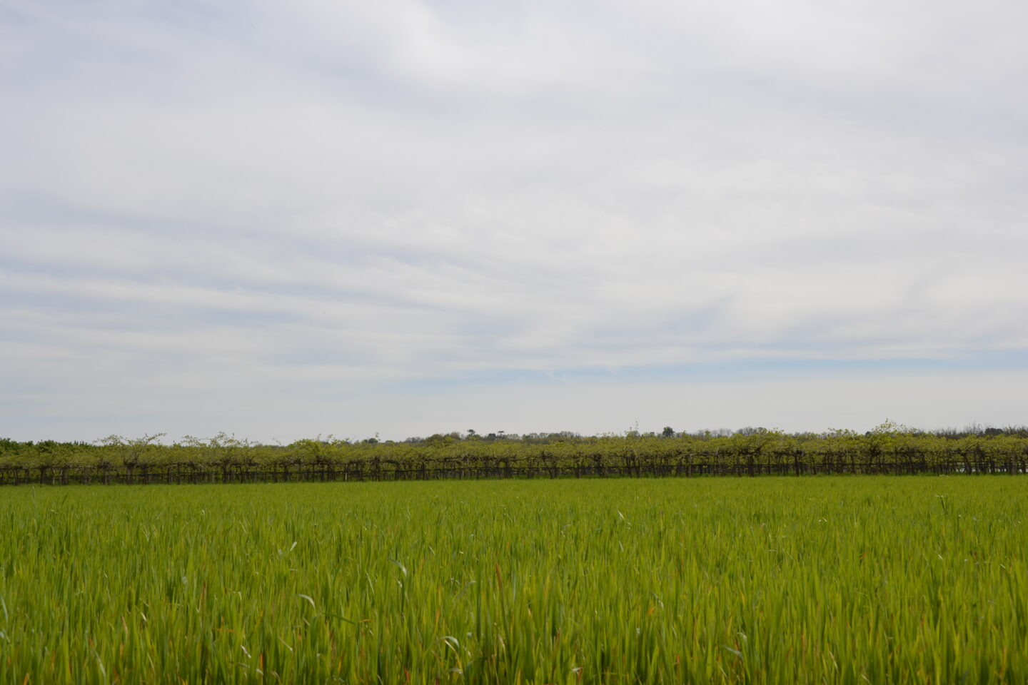 Boucle de l'Imbarradys Barie Nouvelle-Aquitaine