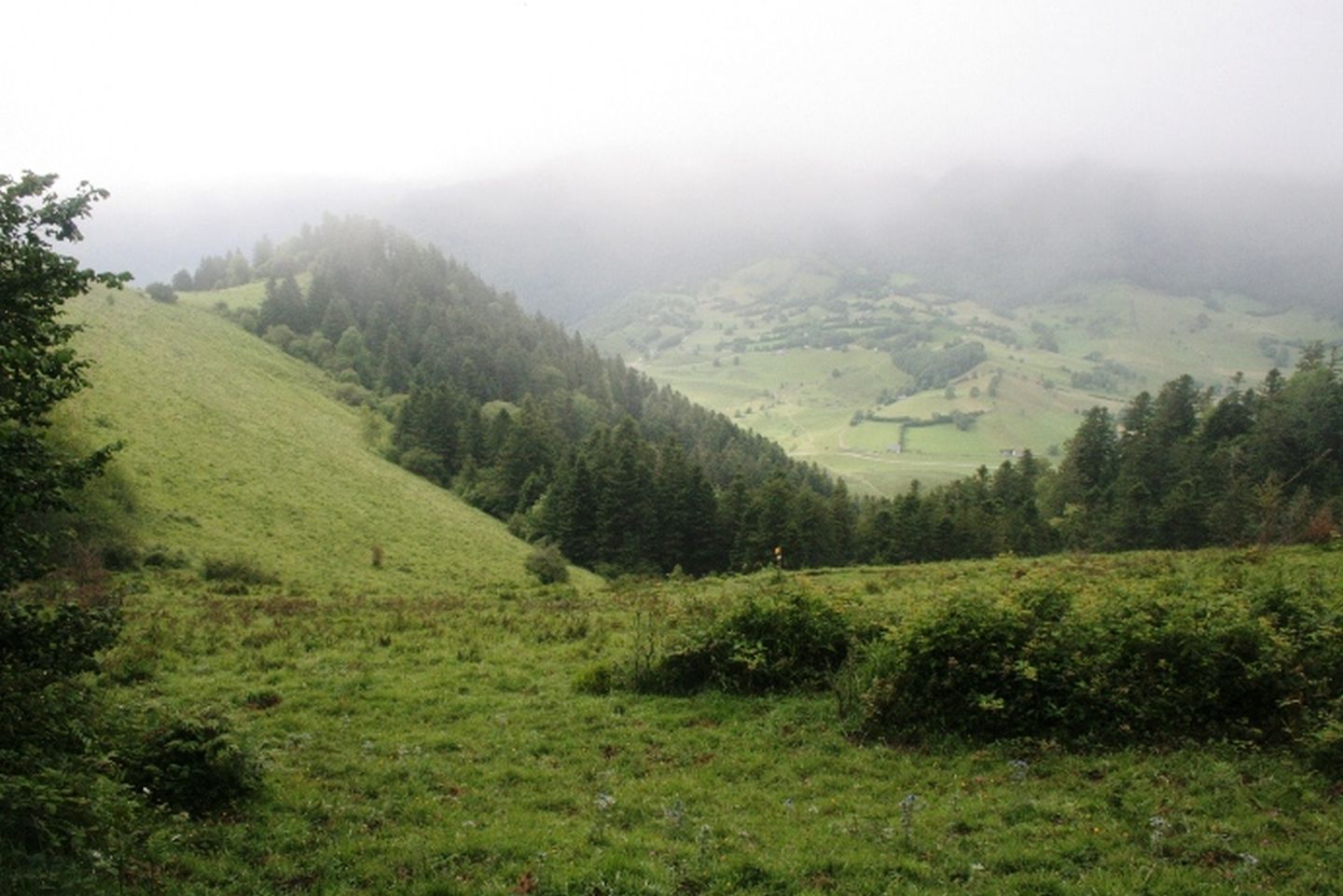 La boucle de Lazerque Izeste Nouvelle-Aquitaine