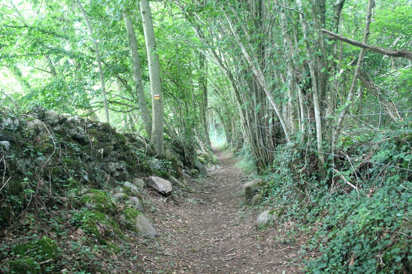 La boucle des trois villages à VTT Bescat Nouvelle-Aquitaine