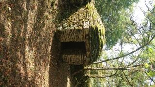 Boucle de Saint Chaubrant La Dornac Nouvelle-Aquitaine
