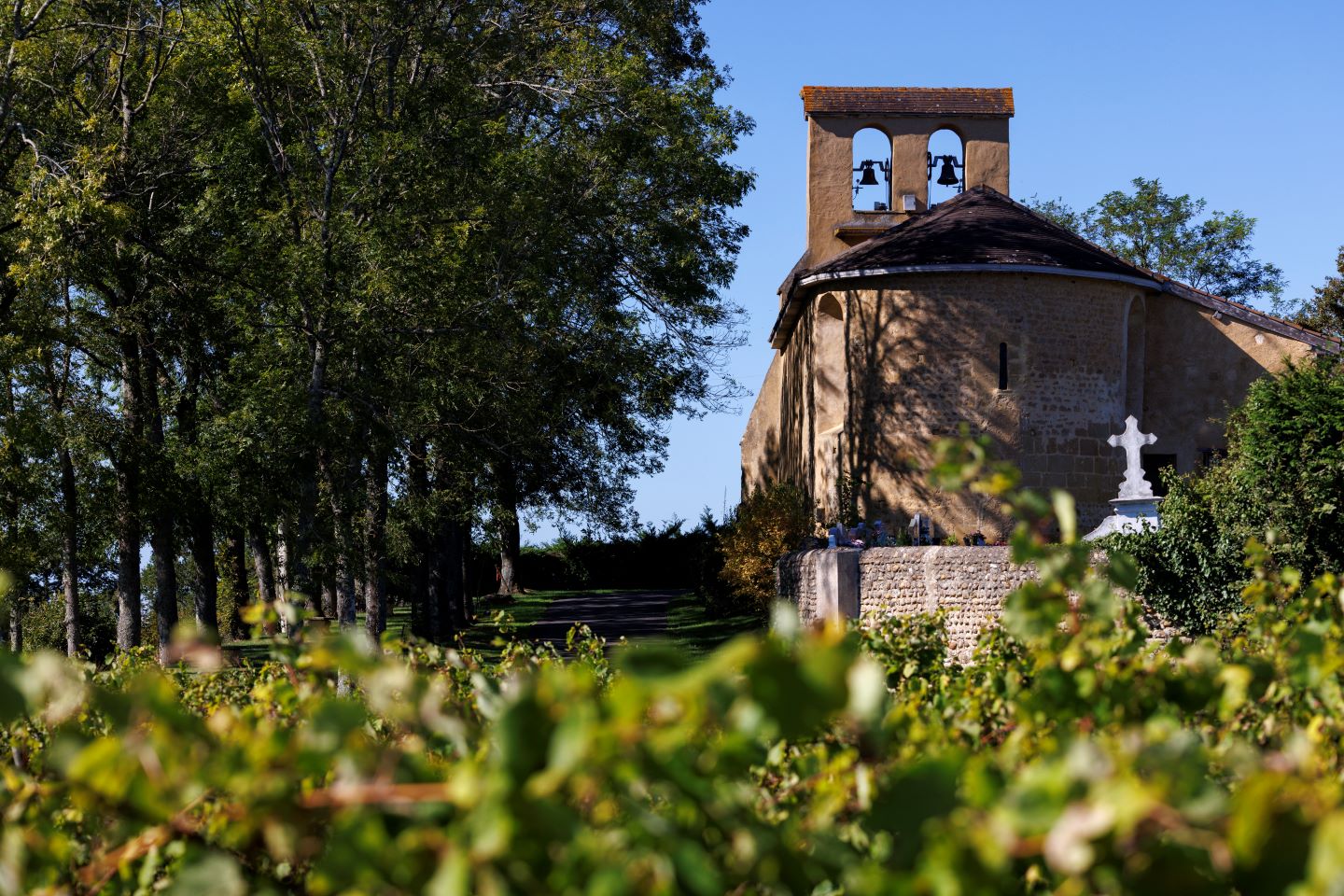 Cabidos les Manoirs à VTT Cabidos Nouvelle-Aquitaine