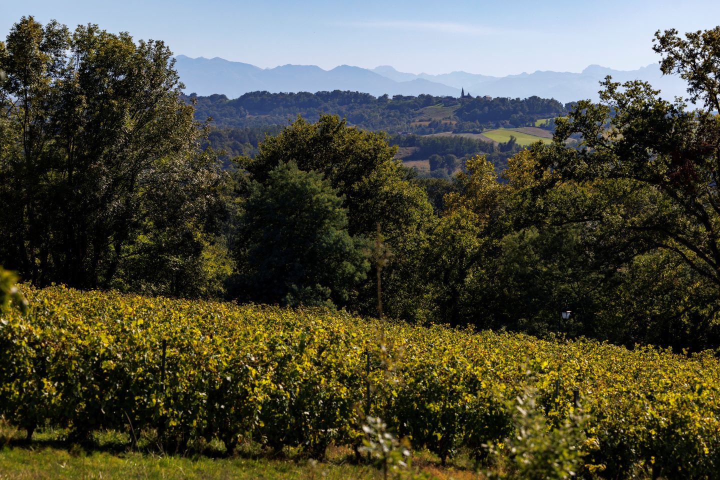 Cabidos les Manoirs Cabidos Nouvelle-Aquitaine