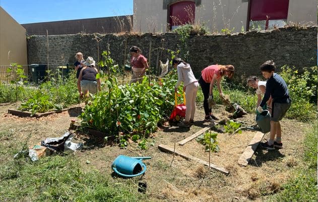 caillou fertile ile de groix