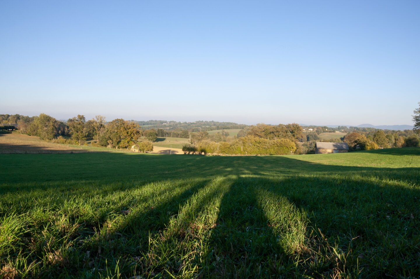 La randonnée de la forêt Condat-sur-Ganaveix Nouvelle-Aquitaine