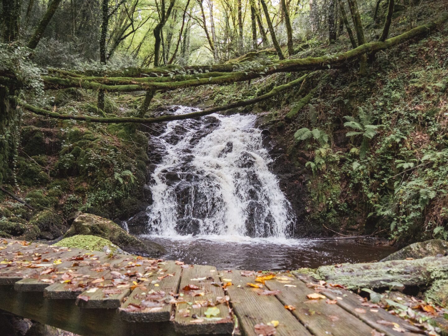 La cascade du Perbos Champagnac-la-Prune Nouvelle-Aquitaine