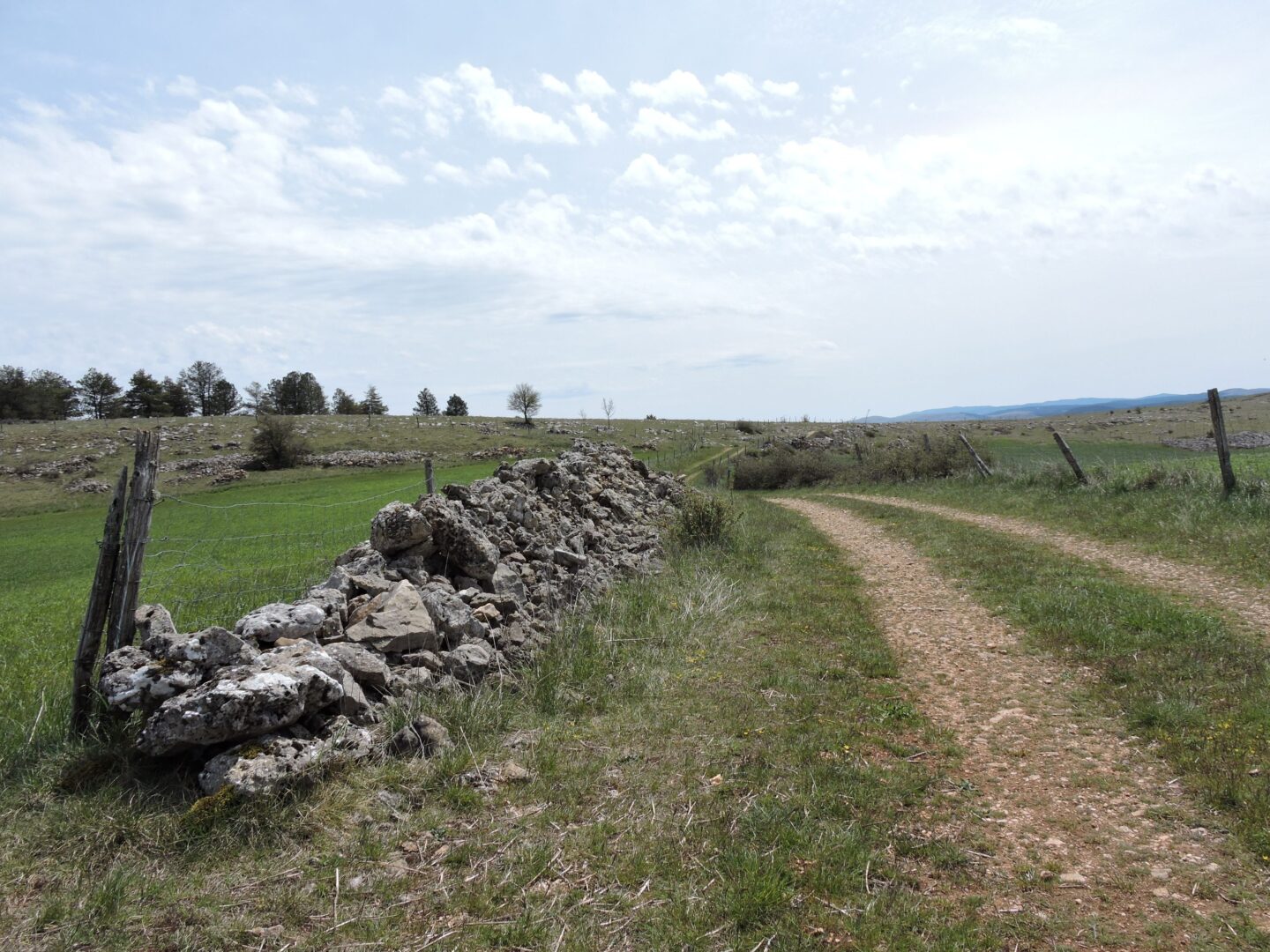 CAUSSE DE SAUVETERRE (COTATION ROUGE) Gorges du Tarn Causses Occitanie CAUSSE DE SAUVETERRE (COTATION ROUGE) Gorges du Tarn Causses Occitanie