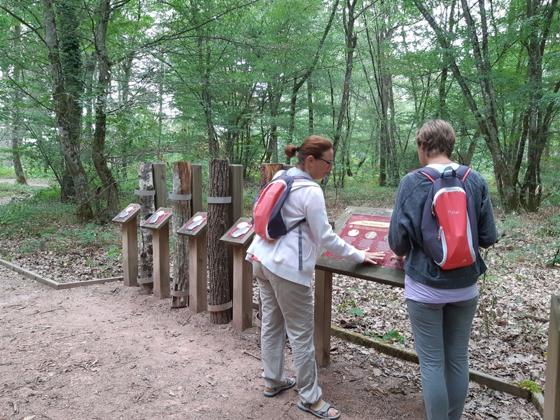 Sentier sensoriel des Carnutes 600 m Combreux Centre-Val de Loire