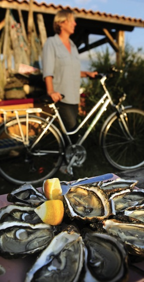 Le Tour du Bassin d'Arcachon à vélo Du Cap-Ferret à la Dune du Pilat Lège-Cap-Ferret Nouvelle-Aquitaine