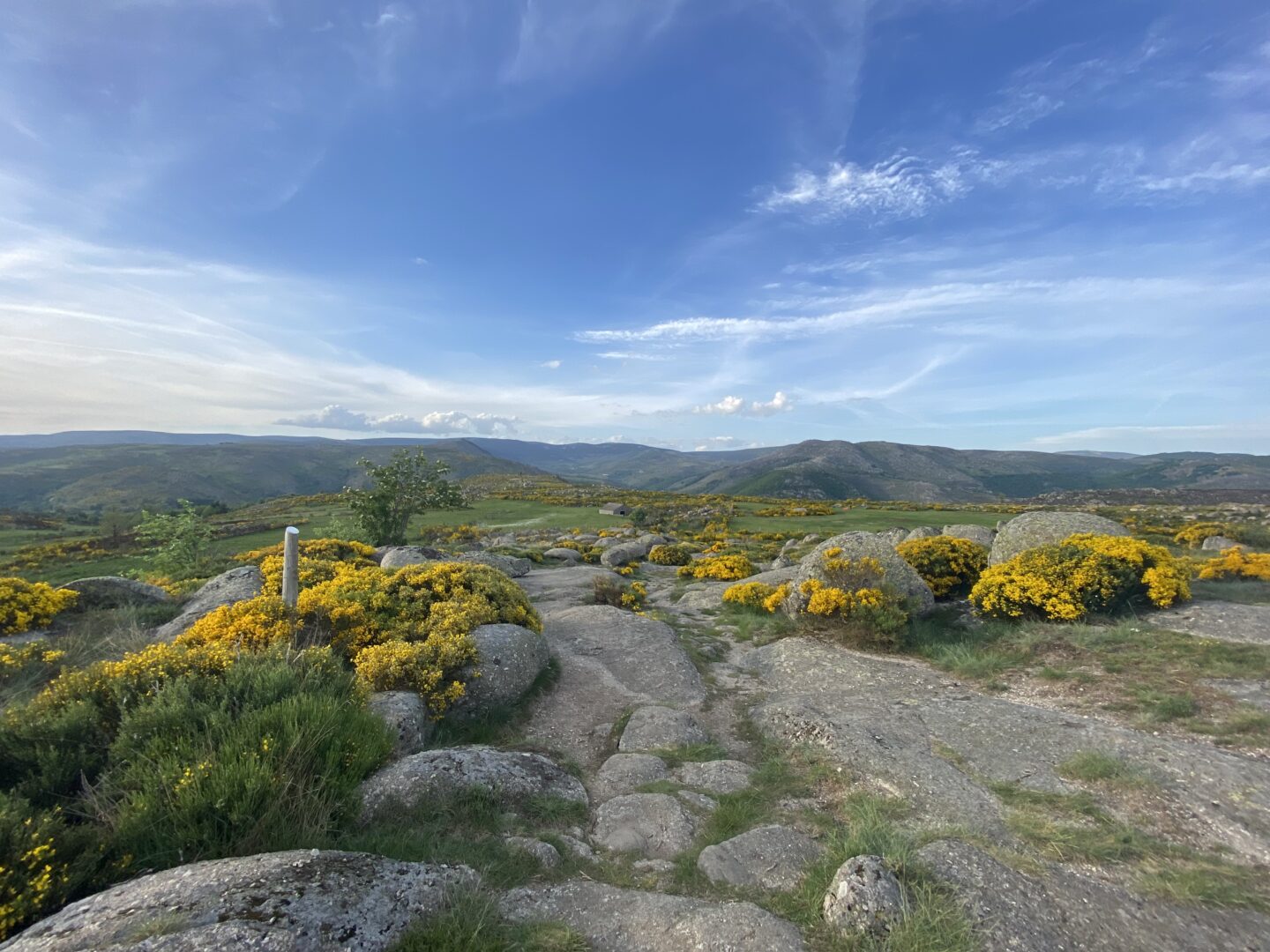 La cham de l'Hermet Pont de Montvert Sud Mont Lozère Occitanie