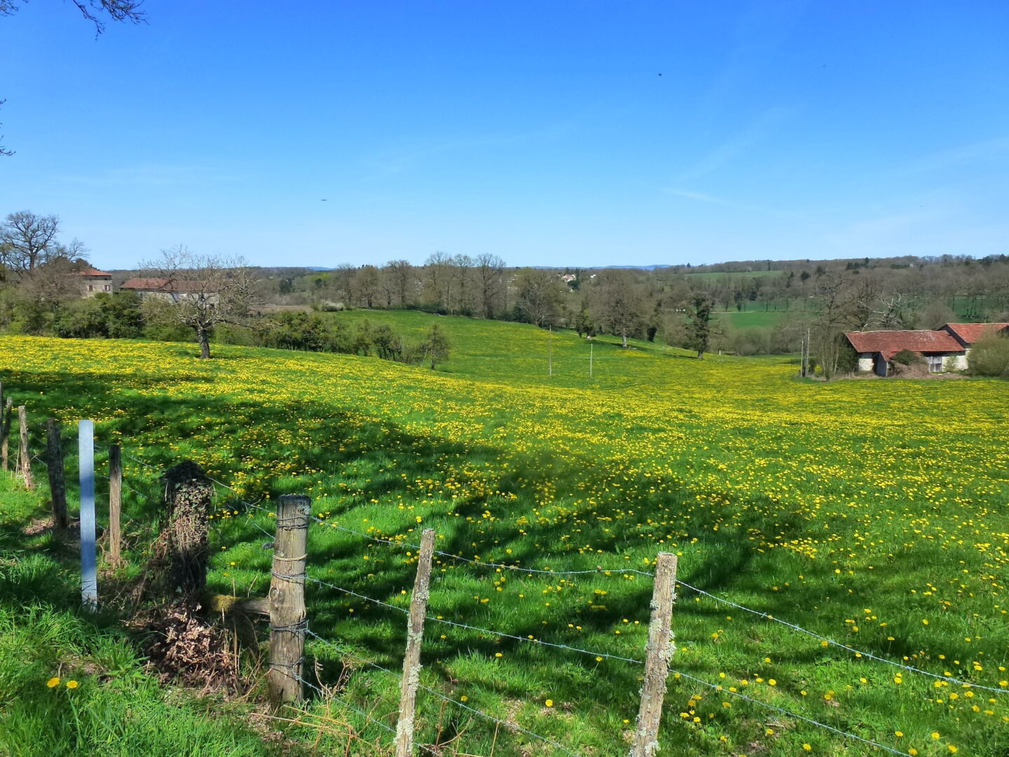 Sentier du Puy Aureil Nouvelle-Aquitaine