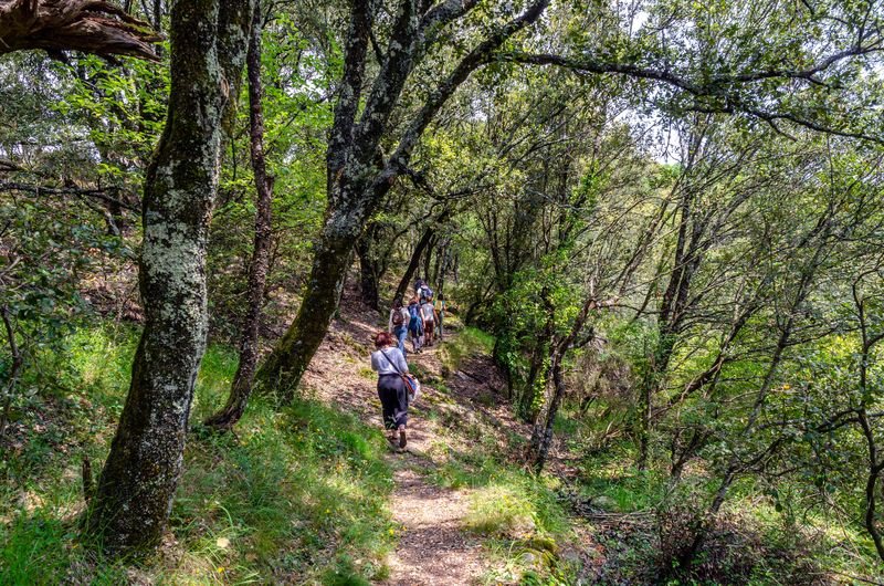 Le Ravin secret de Champernal Saint-Privat-de-Vallongue Occitanie