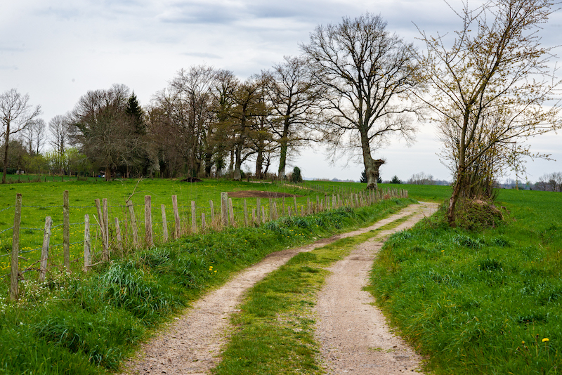 Sentier des aurieres Chaptelat Nouvelle-Aquitaine