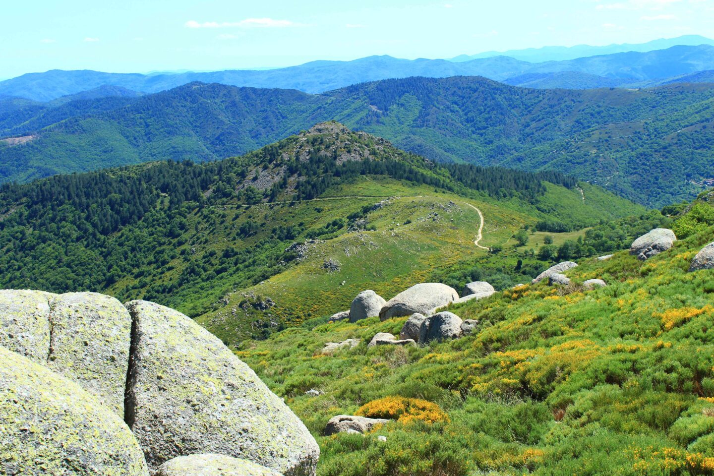 SENTIER DU CHASTELAS Vialas Occitanie