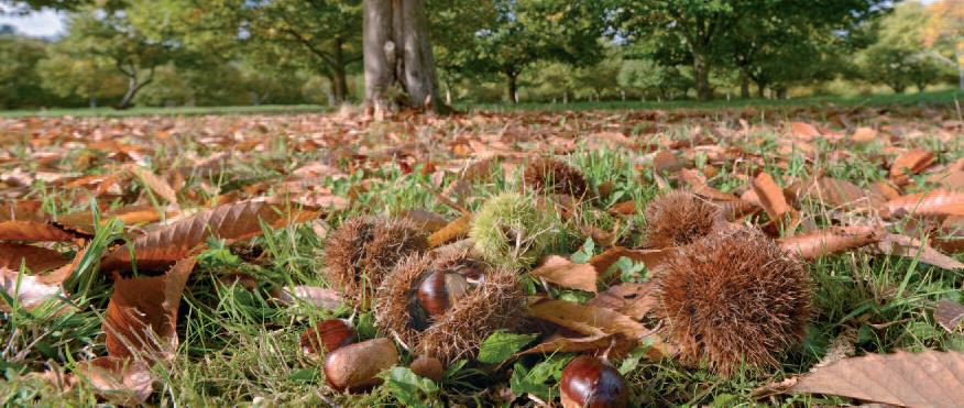 La Grande Boucle du Parc: Etape 9 de Dournazac à St Pierre de Frugie Dournazac Nouvelle-Aquitaine La Grande Boucle du Parc: Etape 9 de Dournazac à St Pierre de Frugie Dournazac Nouvelle-Aquitaine