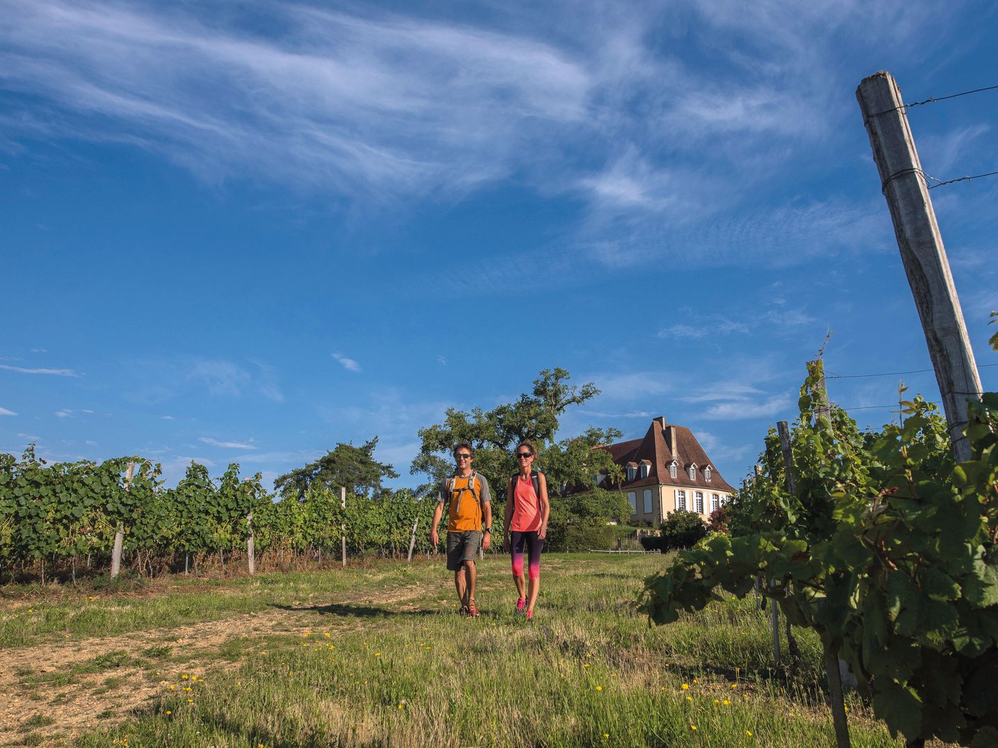Crouseilles entre vignes et château Crouseilles Nouvelle-Aquitaine