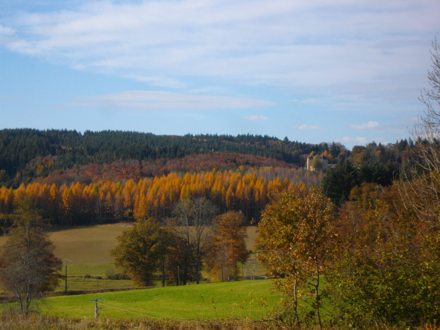 Quand le granit raconte l'histoire (variante de 4.5 km) Veyrières Nouvelle-Aquitaine